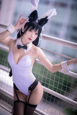 Azur Lane Atago Dog@鬼肖瑶瑶在不了w (10 ภาพ)
