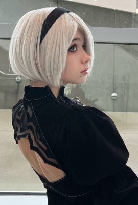 ร็อครัฟฟ์ – 2B