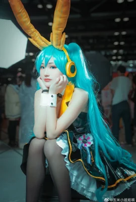 Hatsune Miku Bunny Girl @corn小丝 โอ้ (9 ภาพ)