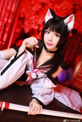 Azur Lane棭@-Tomoyo- (9 ภาพ)