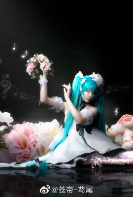 Hatsune Miku@青帝-iris(10 ภาพ)
