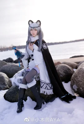หิมะแรกของ Arknights@小ogisoAYA (9 ภาพ)