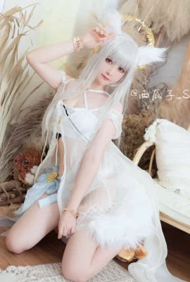 Arknights Platinum @水瓜子_Suikako (9 ภาพ)
