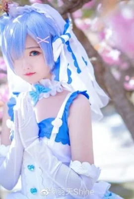 ตั้งแต่เริ่มต้น Rem Hanayo cos น่ารักและน่ารัก cn Yutian Shine (12 ภาพ)