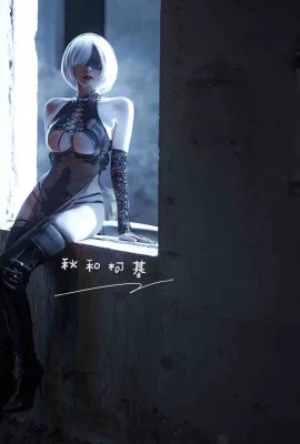 NieR: Automata 2b แฟน cheongsam @秋和corgi (9 ภาพ)