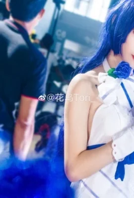 Honkai Impact 3 Raiden Meiyi@花鸟Tori_ (แอนิเมชั่นหิ่งห้อยและเกมคาร์นิวัล) (9 ภาพ)