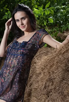 โมนา – เออร์โมด (103 ภาพถ่าย)
