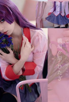 ฮิเมะคอสเพลย์ – ฮิตากิ เซ็นโจกาฮาระ
