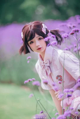 @wanwan不wan: ??”Lavender Manor in Memory”?? (10 ภาพ)