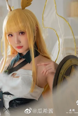 FGO Valkyrie Slud@guaxijiang(9 ภาพ)