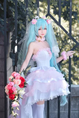 แฟน Hatsune Miku Hatsune Miku Hanayome cn: ซากุระซากุระ (8 ภาพ)