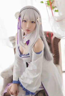 Re:Zero – การเริ่มต้นชีวิตในอีกโลกหนึ่ง Emilia cn: Guahi (17 ภาพ)