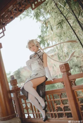 Yuan Zhi Kong Kasugano Qiong กี่เพ้าผ้าไหมสีขาว cn: Asano Junko (10 ภาพ)
