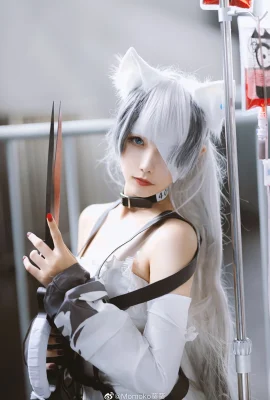 Cat City Triss @โมโมโกะ อ้อยควาย (9 ภาพ)