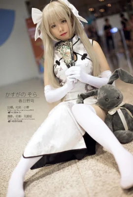 สาวโอโนะ กับ Fate no Sora (Kasugano Qiong) 2