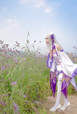 Re: ชีวิตในโลกที่แตกต่าง จาก Zero Emilia@彦子不breakable(9 ภาพ)
