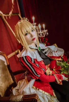 FGO Nero Claudius @二zzoNisa- (9 ภาพ)