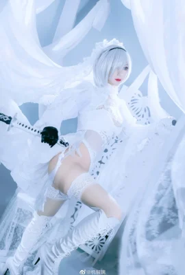 Nier: Automata 2b Fan Hua Marry @jizhili (9 ภาพ)
