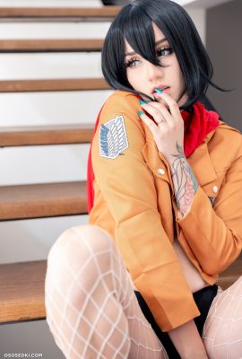 เฟย์ เอสจี มิคาสะ แอคเคอร์แมน