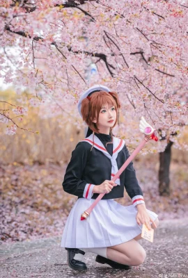 การ์ดแคปเตอร์ Sakuragi no Honsakura@风梦mianw (9 ภาพ)