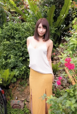 คอลเลกชันภาพถ่ายนามิโฮชิโนะ “Soiree” (71 ภาพถ่าย)