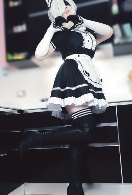 แมดร็อกซี่ – 2B เมด