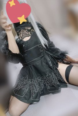 ใช่ – 2B