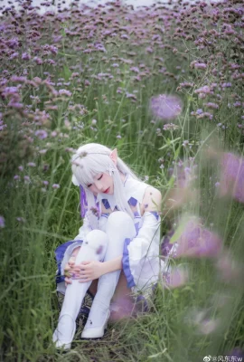 Re: ชีวิตในโลกที่แตกต่างจาก Zero Emilia Battle Suit @风东东w (10 ภาพ)