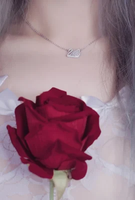 คอสเพลย์ eloise ลูกไม้นุ่ม