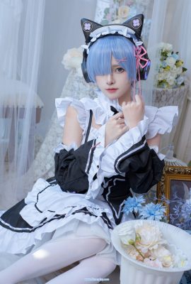 (กระป๋องแมวคาว) REM Rem