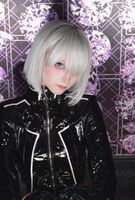 อากิจิ – 2B ลาเท็กซ์สีดำ