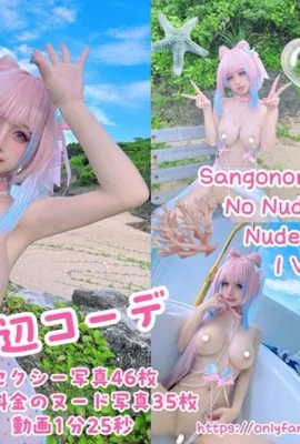 โอคิตะ รินกะ – ซังโกโนมิยะ โคโคมิ