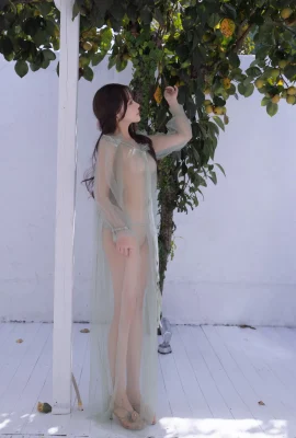 ภาพถ่าย Caviar Green Tulle (120 ภาพถ่าย)