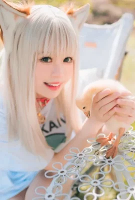 Chitanda Deerzi (Xing Dai Deer) – ผงถั่วเหลือง
