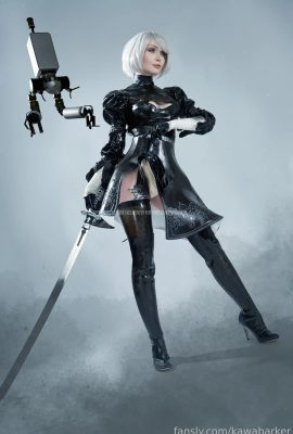 Zirael REM – 2B น้ำยาง