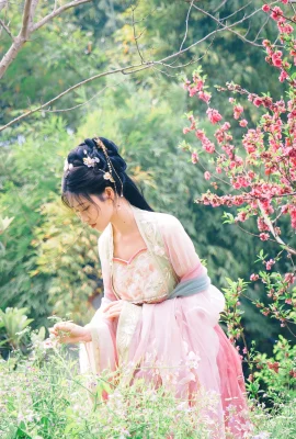 ทุกปี – Haitang Xian (84 รูป)