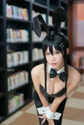 Anime Blogger Loves Teacher_phd – Bunny Girl Senior Si, (8 รูป)