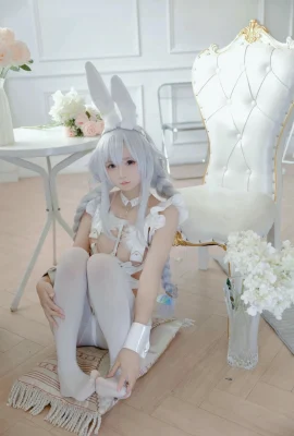 คุณชอบ Ali – กระต่ายสีขาวที่ดุร้ายของ Azur Blue Route
